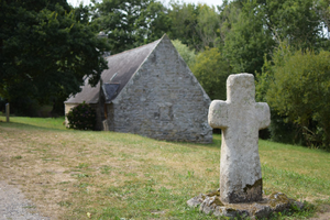 Traitement punaises de lit La Chapelle-sur-Erdre